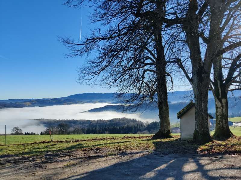 Fasten und Schreiben - Ausblick in die Natur